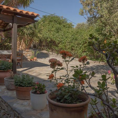 Private Pet Friendly Villa Ájosz Nikólaosz Kültér fotó